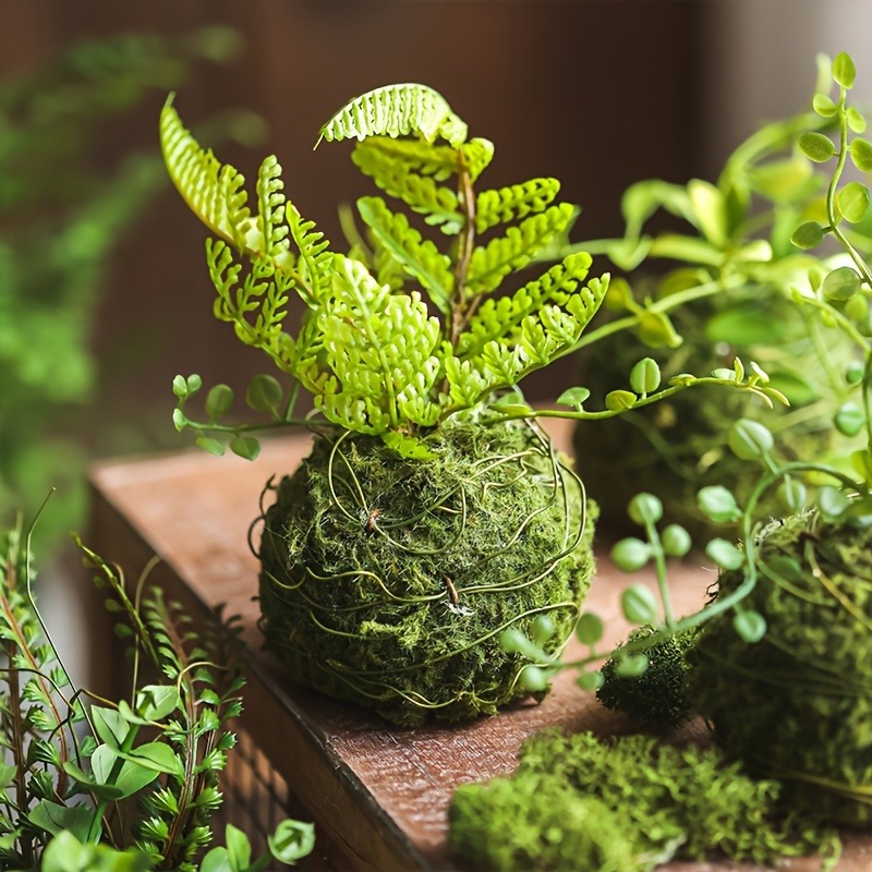 Sphagnum Moss Dry - Vaso per muschio artificiale, Contenitore per