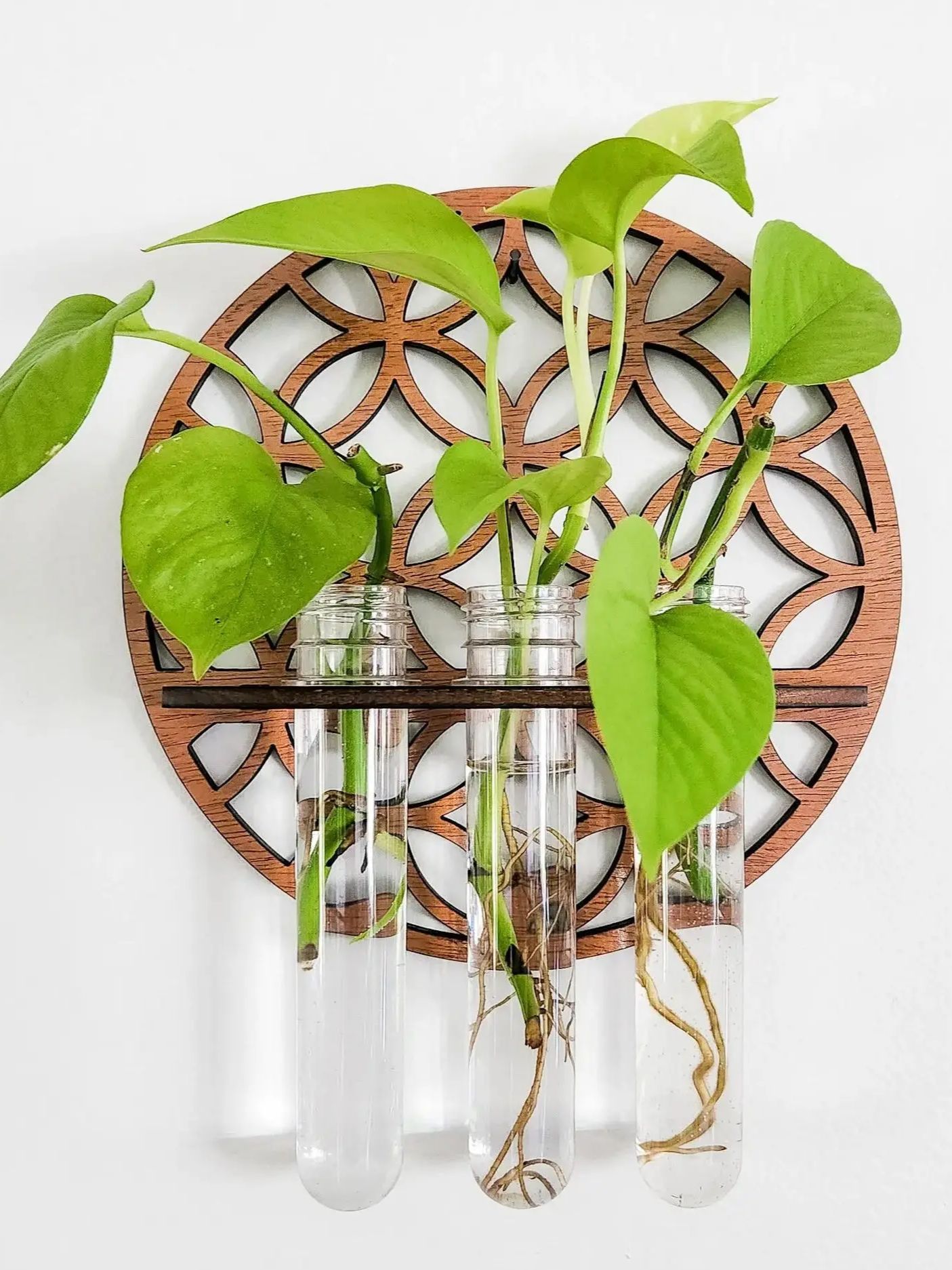 Propagation Station Vase - Fioriere da parete da giardino Cerchio