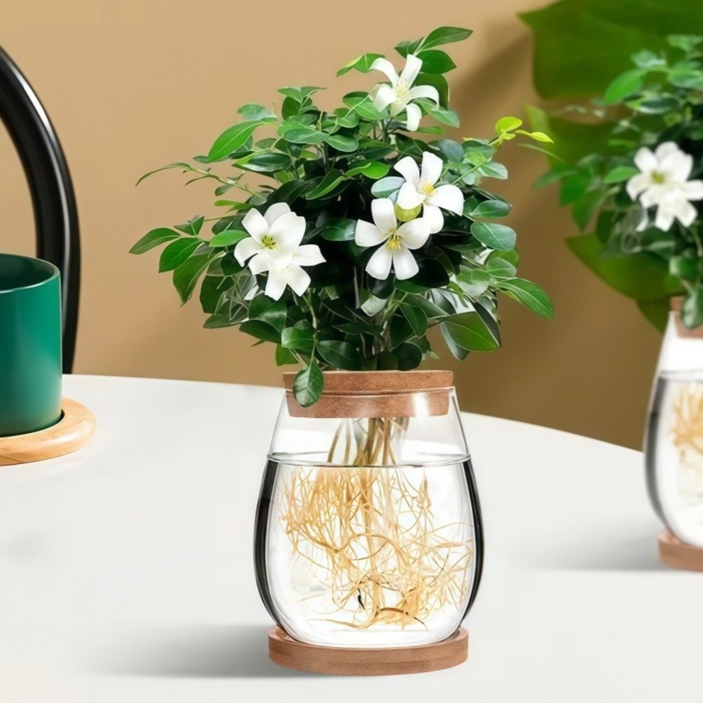 Propagation Station Vase - Vaso Idroponico Trasparente con Vassoio in