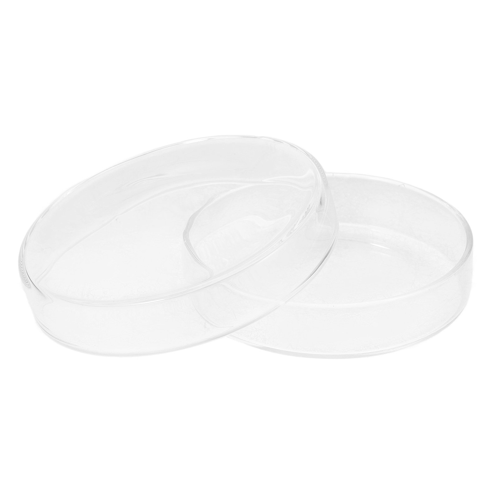 Agar Tissue Culture - Piastra di Petri in Vetro Borosilicato