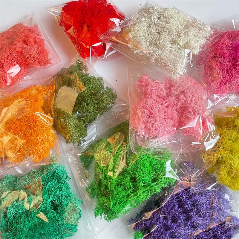 Sphagnum Moss Dry - 20-200g Piante verdi artificiali Poliestere Muschio