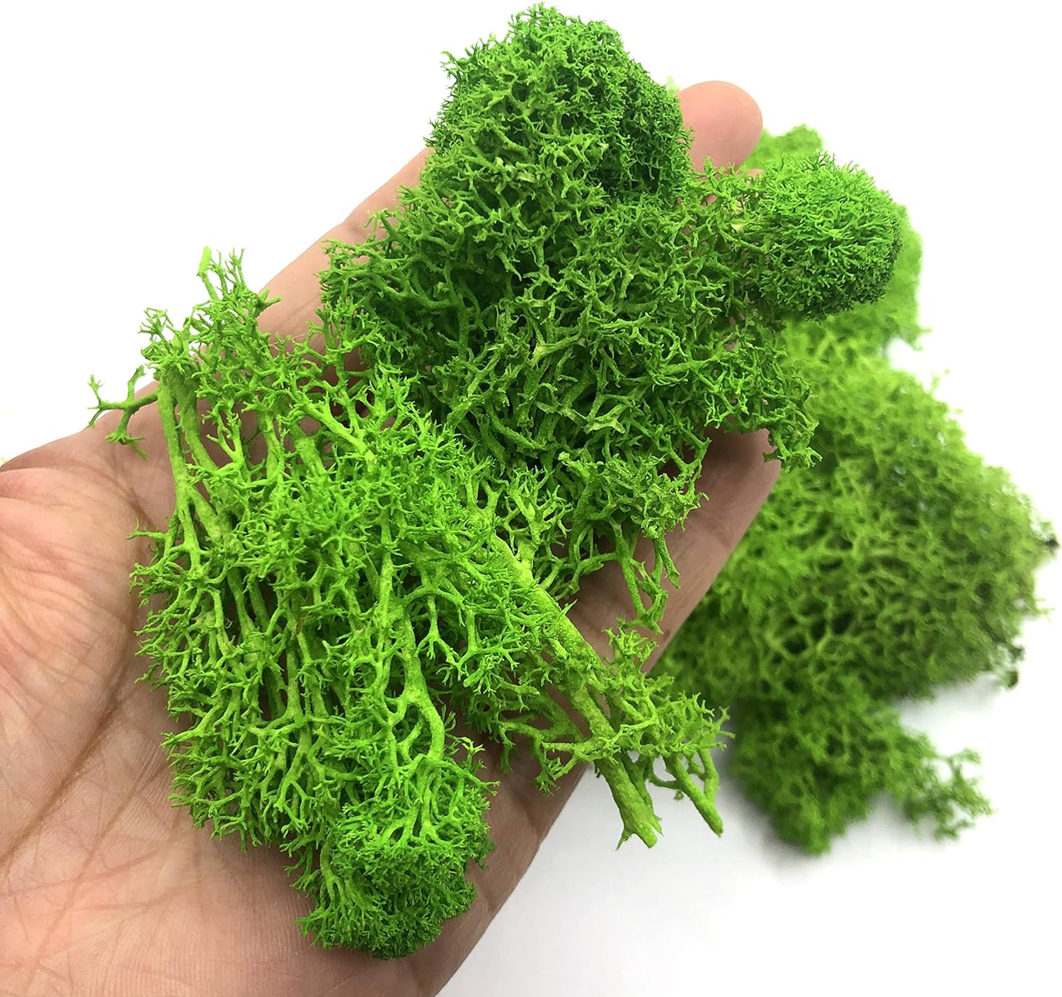 Sphagnum Moss Dry - 200g Piante verdi artificiali Mini Paesaggio