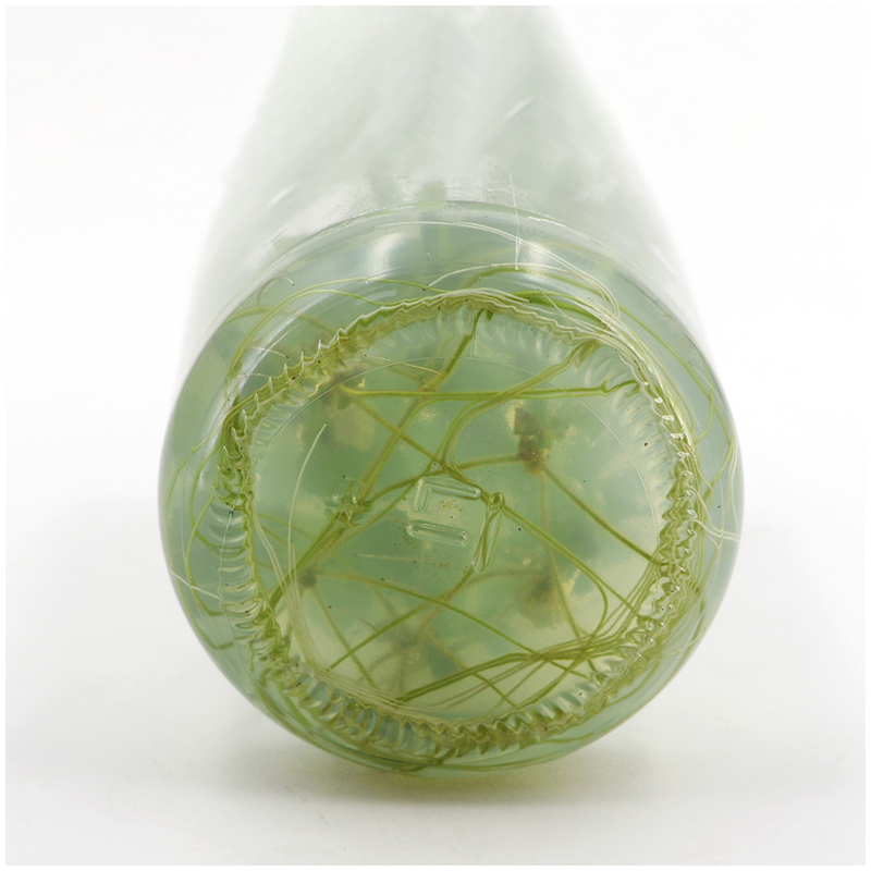 Nutrimento MS Medium senza Aga - Agar Tissue Culture recensione e prezzo