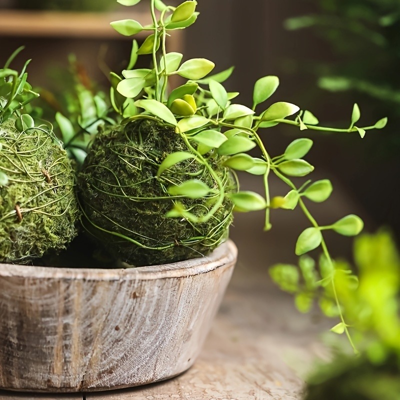Vaso per muschio artificiale,  - Sphagnum Moss Dry recensione e prezzo
