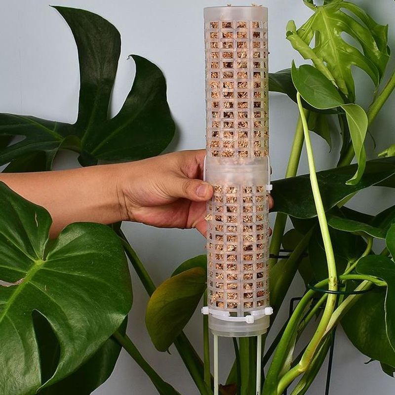 Accessorio in Plastica, Palo p - Sphagnum Moss Dry recensione e prezzo