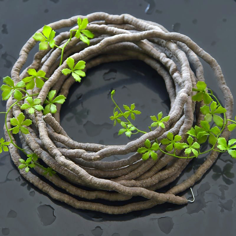 Piante Rampicanti Artificiali  - Sphagnum Moss Dry recensione e prezzo