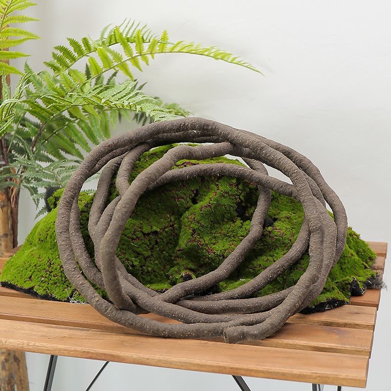 Piante Rampicanti Artificiali  - Sphagnum Moss Dry recensione e prezzo