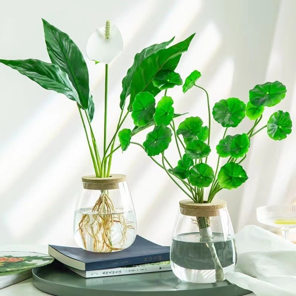 Vaso Idroponico Trasparente co - Propagation Station Vase recensione e prezzo