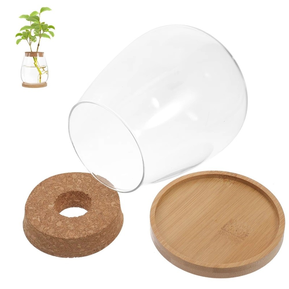 Vaso Idroponico Trasparente co - Propagation Station Vase recensione e prezzo