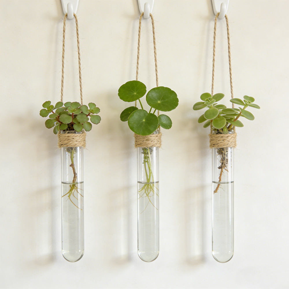 Vaso Idroponico da Parete con  - Propagation Station Vase recensione e prezzo