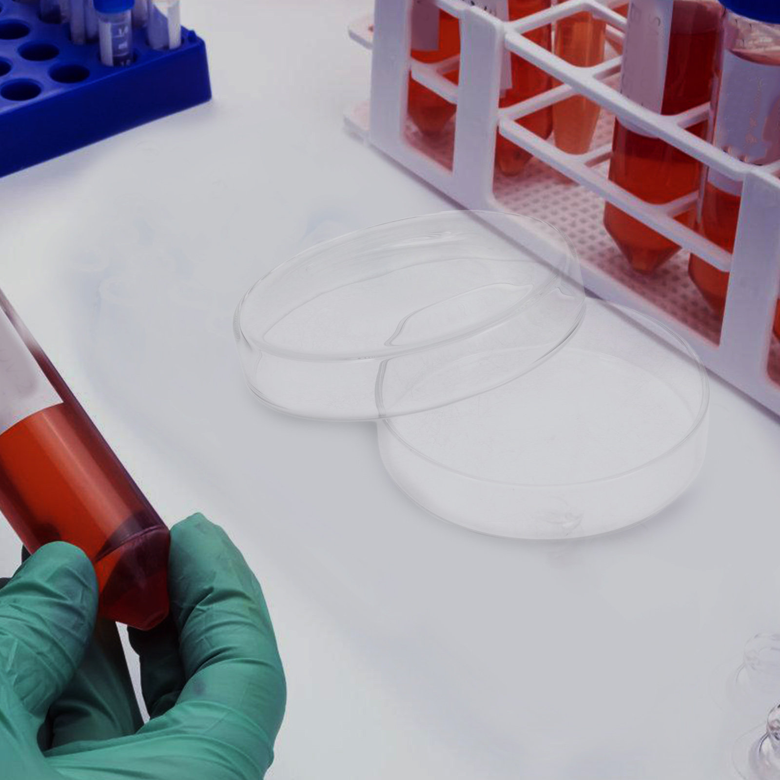 Piastra di Petri in Vetro Boro - Agar Tissue Culture recensione e prezzo