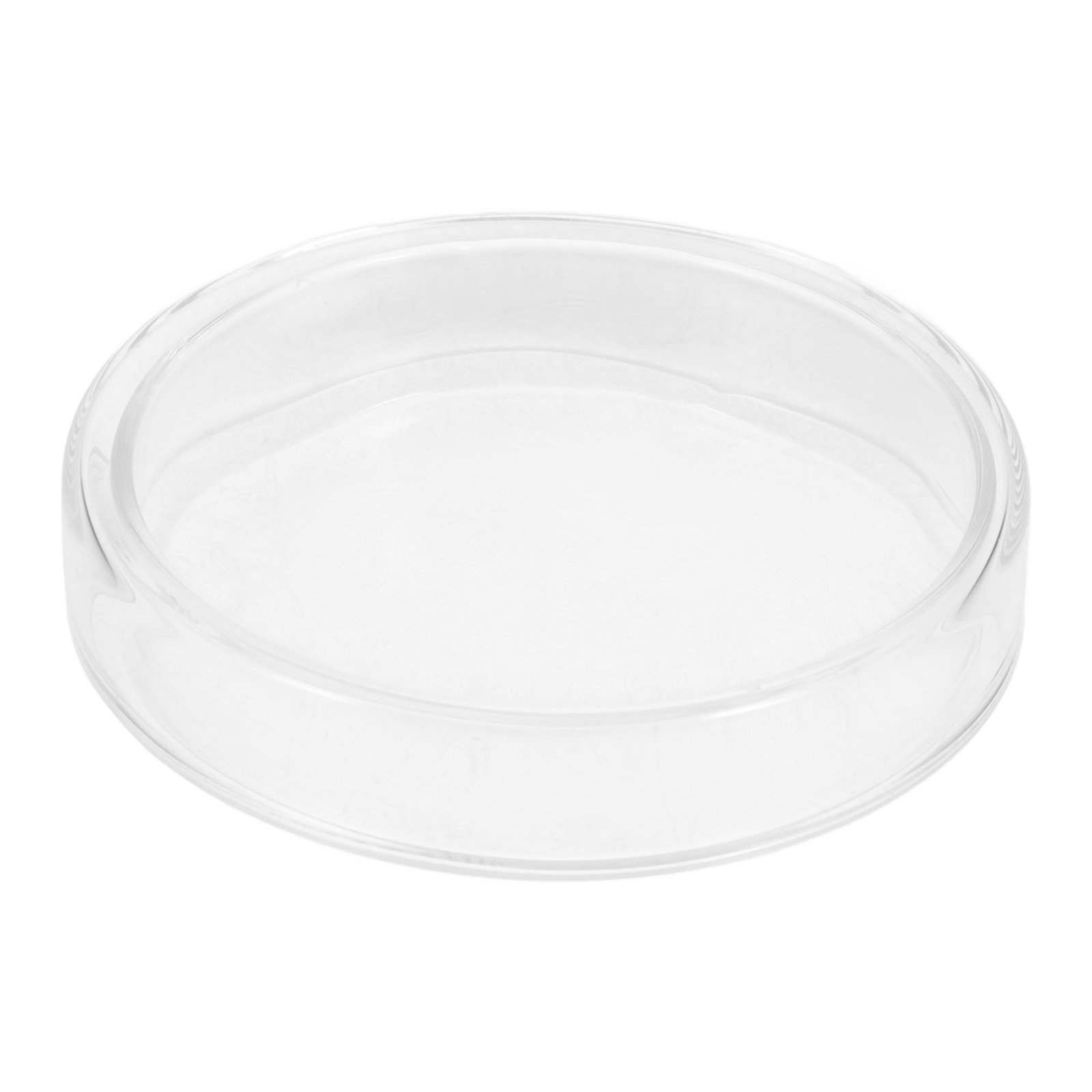 Piastra di Petri in Vetro Boro - Agar Tissue Culture recensione e prezzo