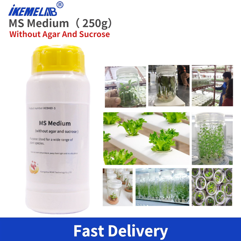 IKEME Lab MS Medio 250g Senza  - Agar Tissue Culture recensione e prezzo