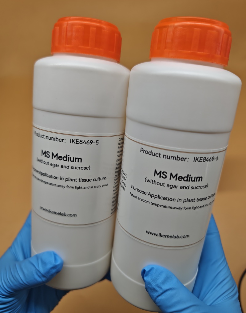 IKEME Lab MS Medio 250g Senza  - Agar Tissue Culture recensione e prezzo