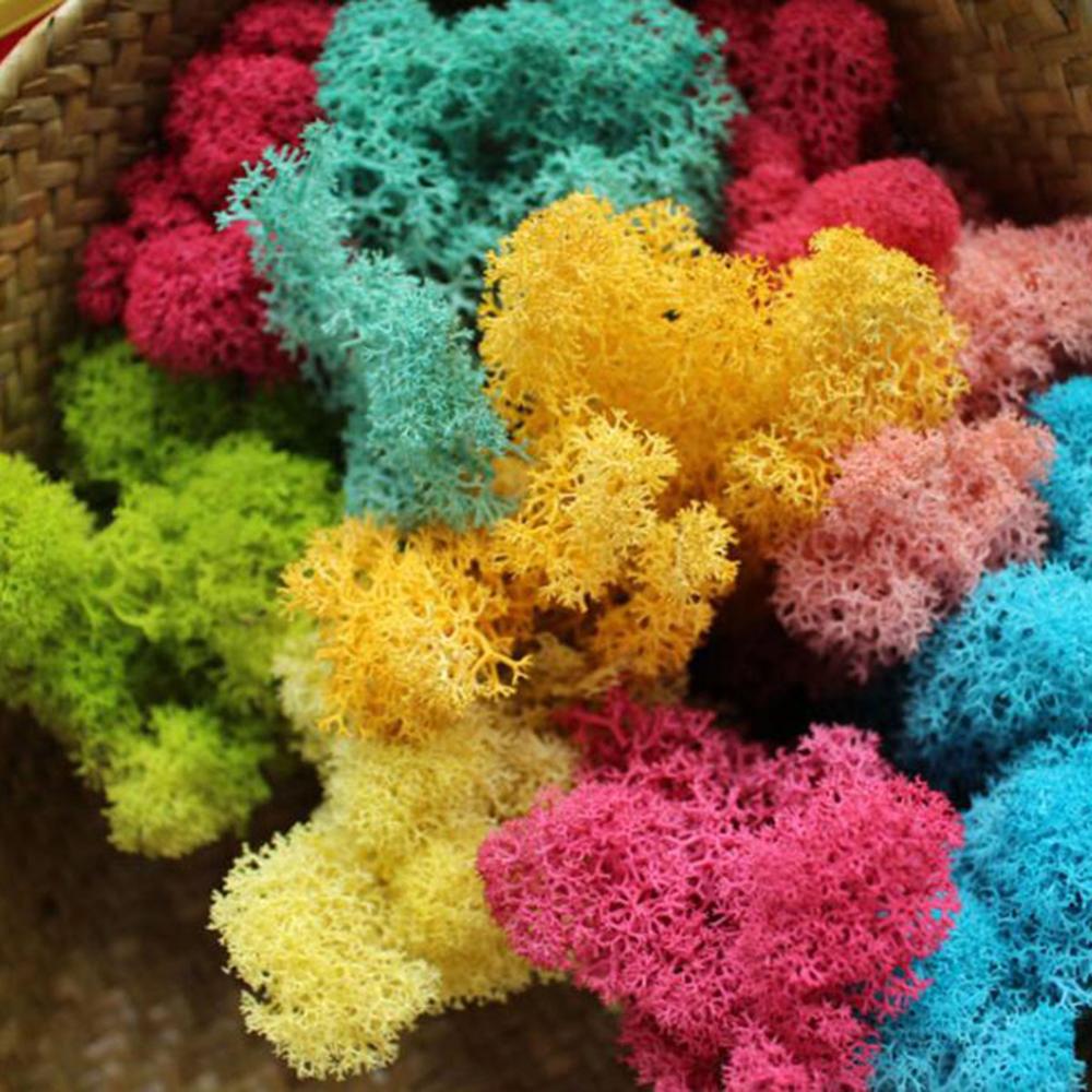 Pianta Artificiale La Vita Ete - Sphagnum Moss Dry recensione e prezzo