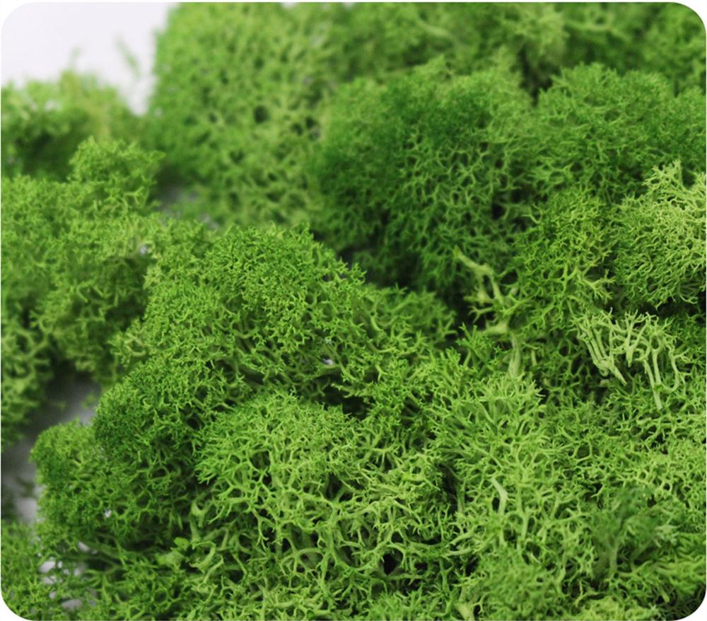 Pianta Artificiale La Vita Ete - Sphagnum Moss Dry recensione e prezzo
