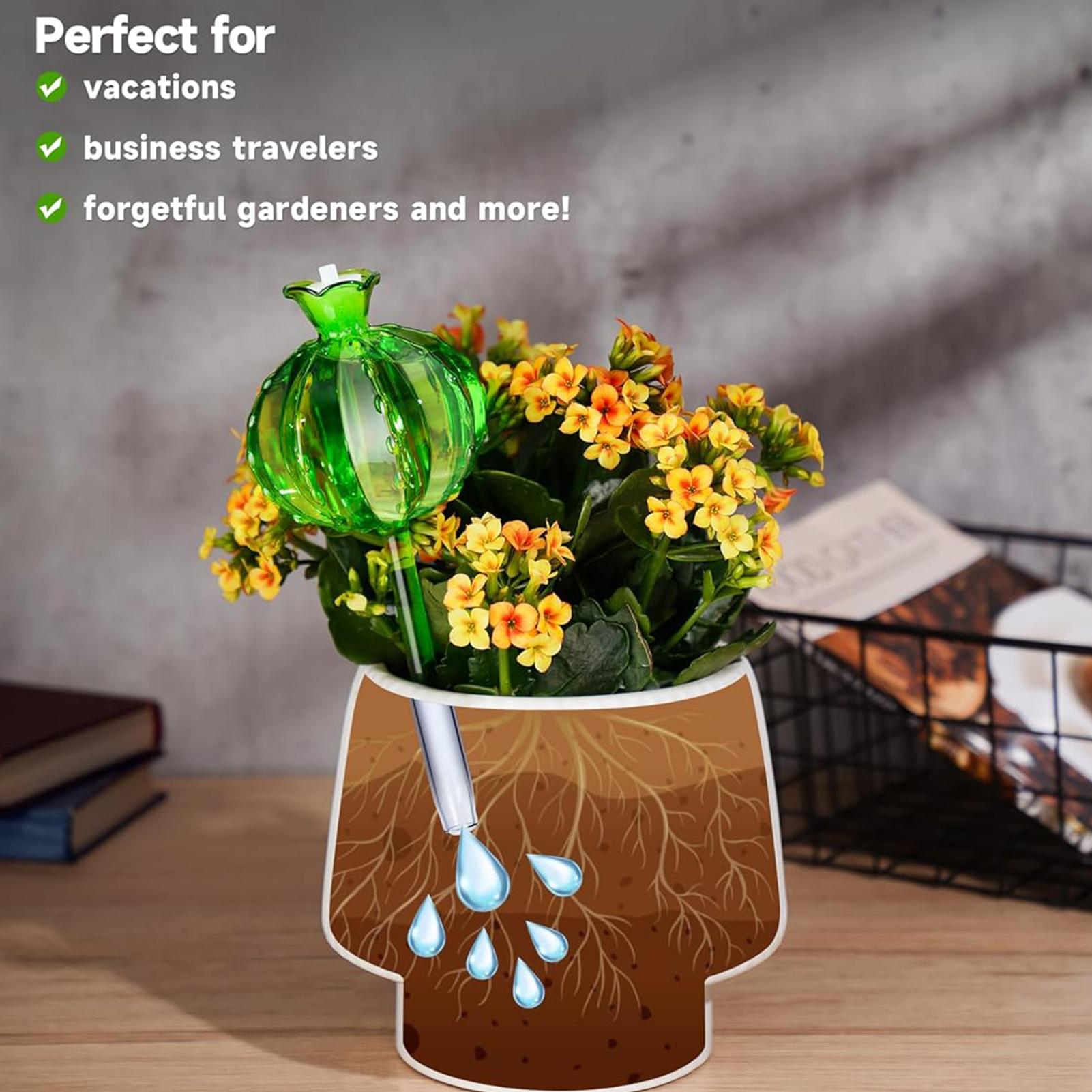 Pali per irrigazione piante, 3 - Self Watering Insert recensione e prezzo