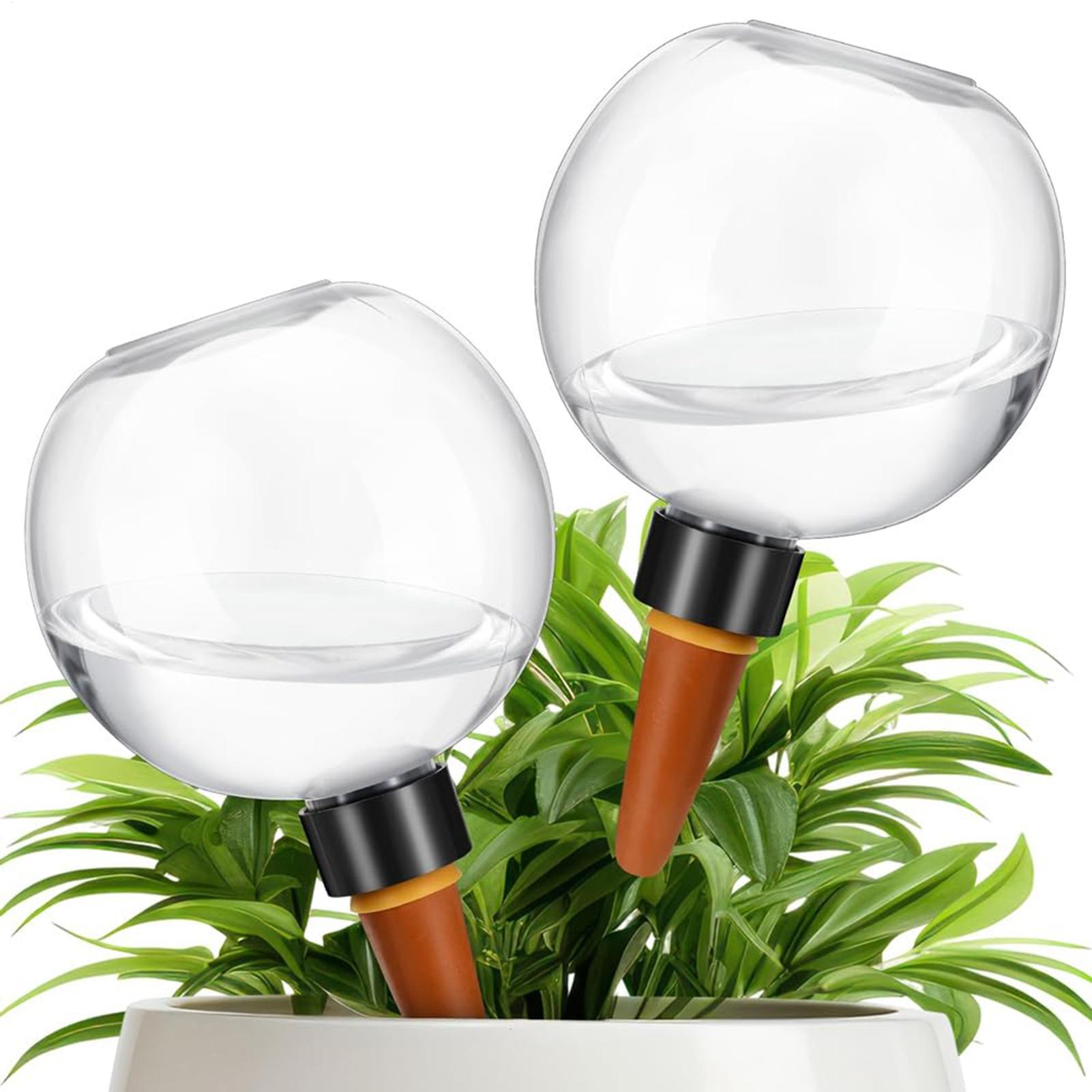 Lampadine per irrigazione auto - Self Watering Insert recensione e prezzo