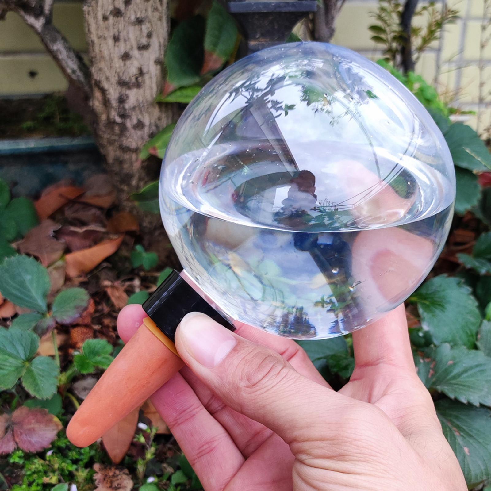 Lampadine per irrigazione auto - Self Watering Insert recensione e prezzo