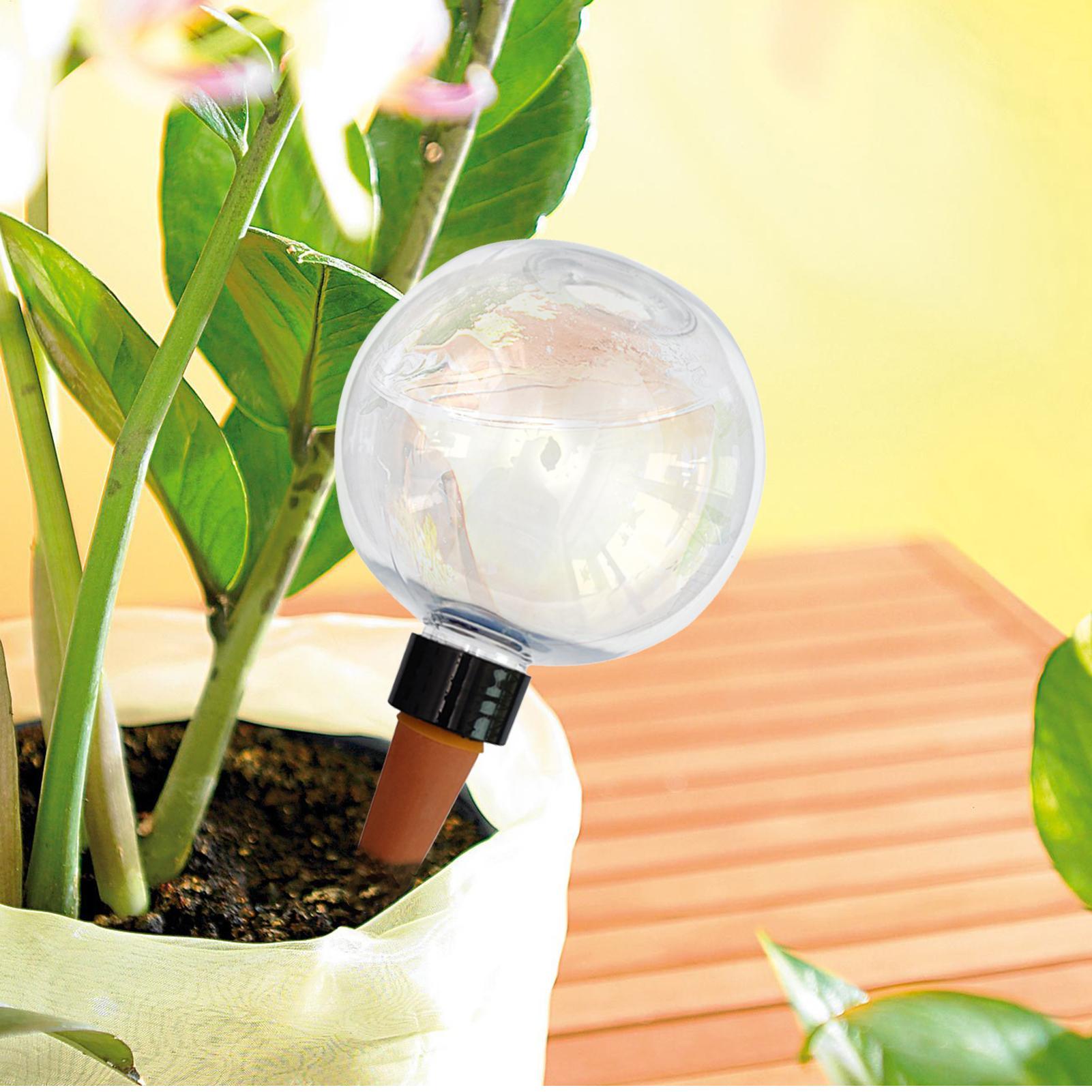 Lampadine per irrigazione auto - Self Watering Insert recensione e prezzo