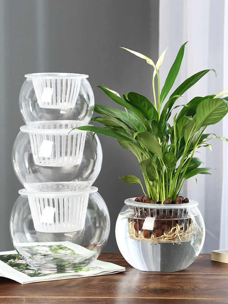 Vaso in vetro idroponico per a - Propagation Station Vase recensione e prezzo