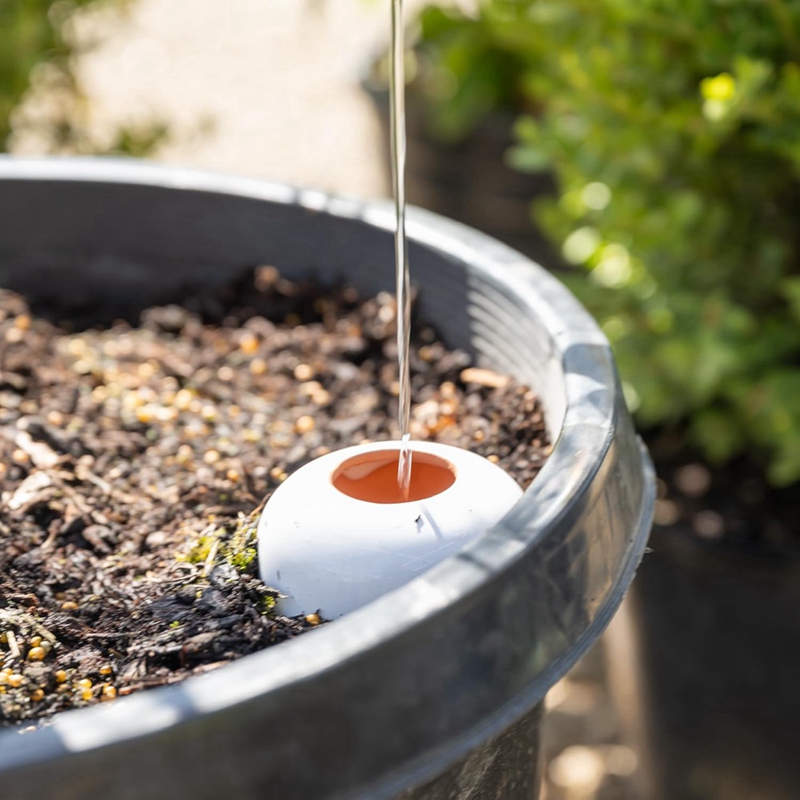 Sfera di irrigazione per piant - Self Watering Insert recensione e prezzo